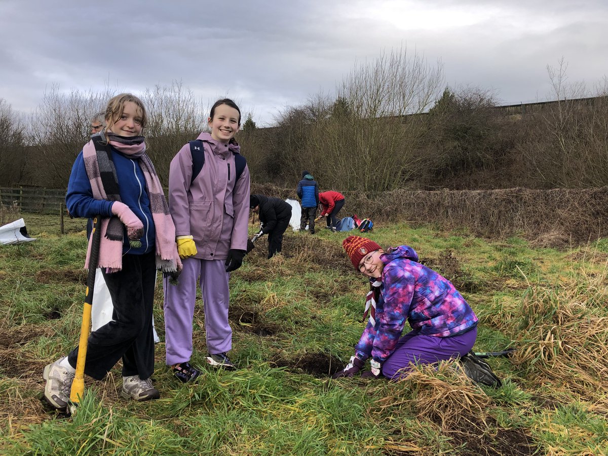 Native Woodland Trust tweet media