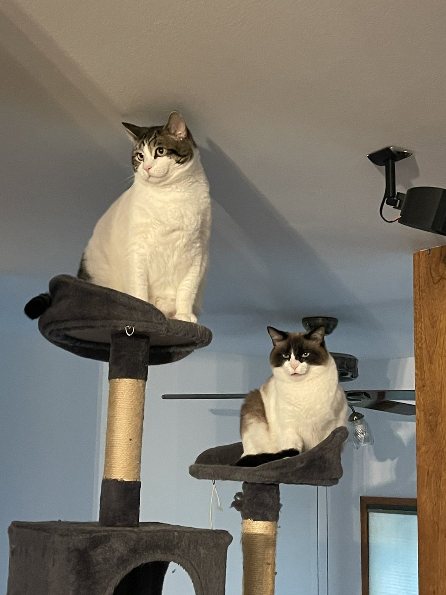 Yes masters, we hear and obey.