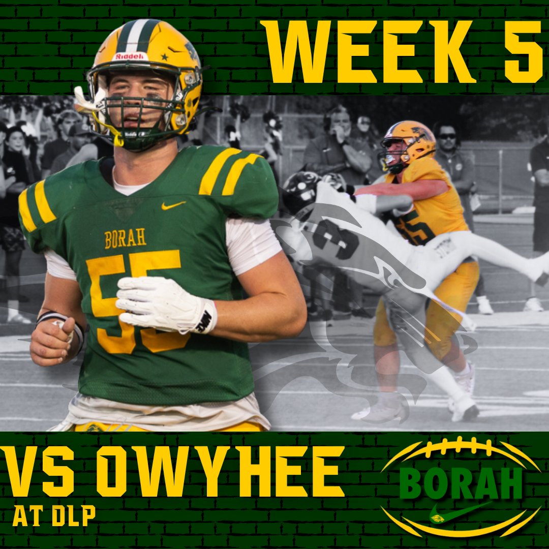 Borah Lions Football tweet media