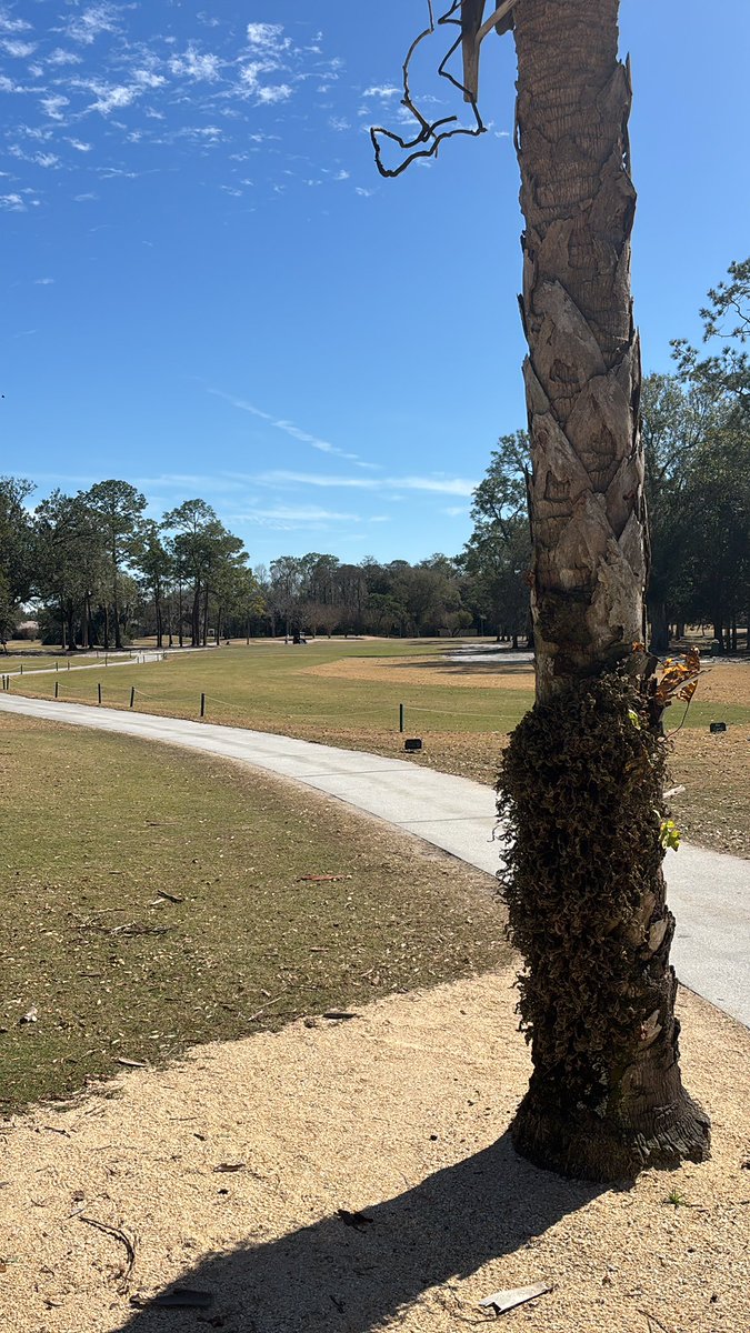Flo-ridah ⛳️