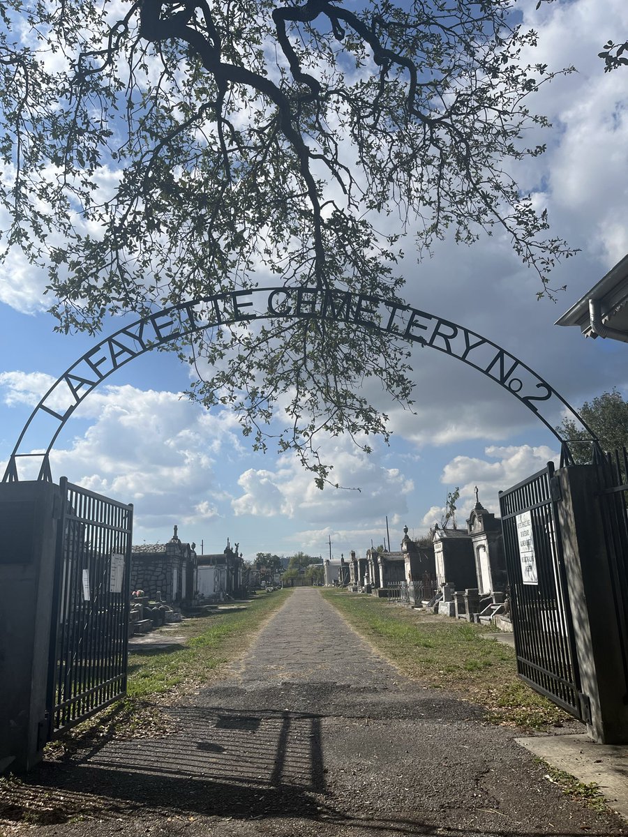 mr soggy 👻 tweet media