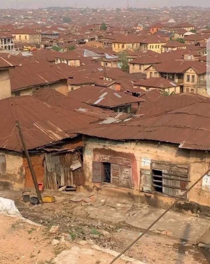 Steven🦅 tweet media