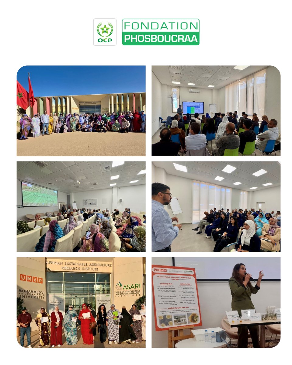 Phosboucraa Fndn tweet media