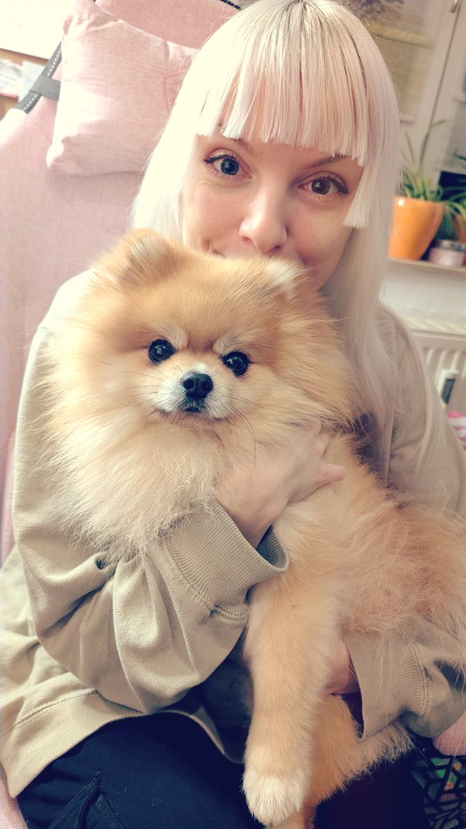 It's Stream Time!
Let's take some diving lessons with Lara in Tomb Raider V.

now live @ twitch.tv/misasoupen

#twitch #tombraider #gaming #streamergirl #pomeranian