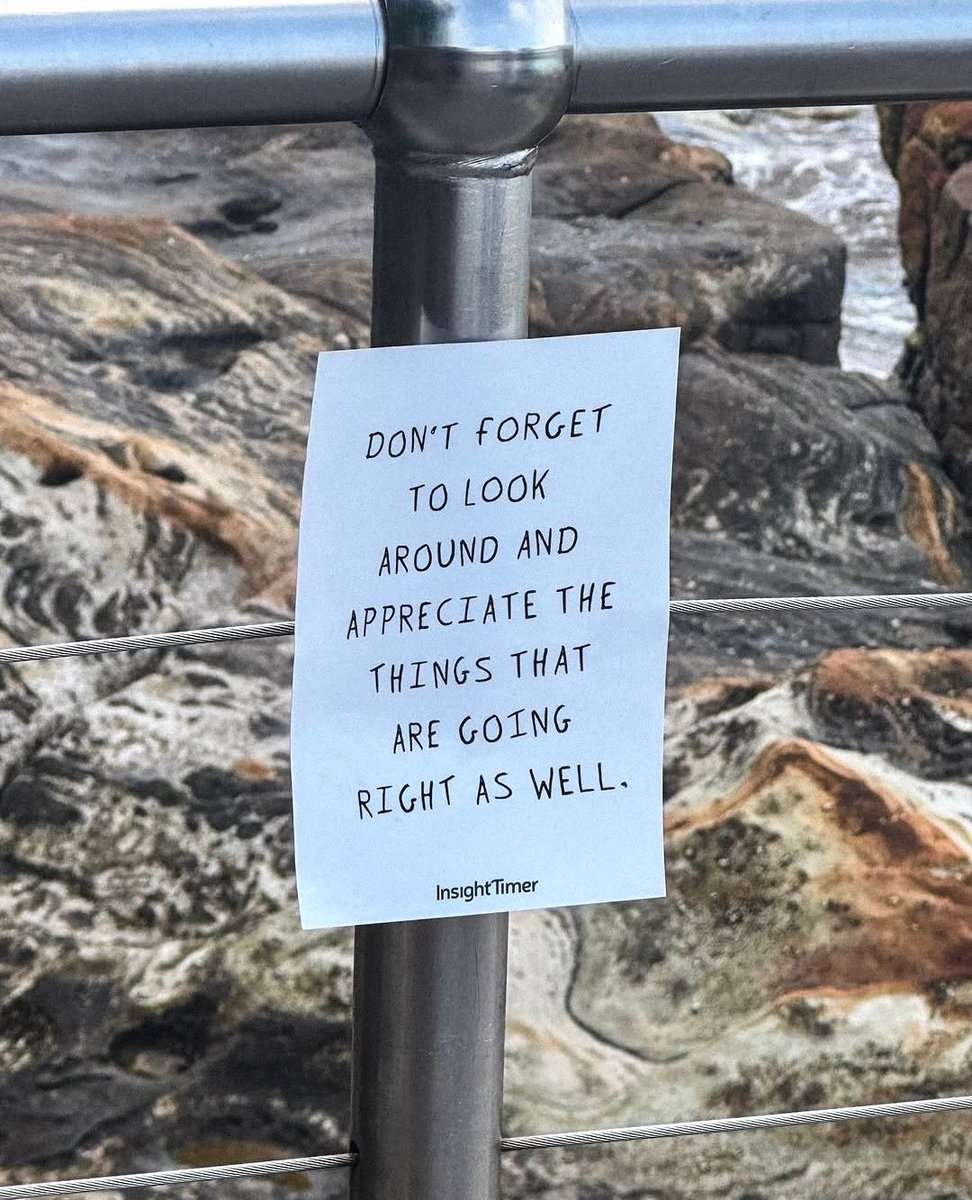 Don’t forget to look around and appreciate the things that are going right as well

Image: instagram.com/insighttimer