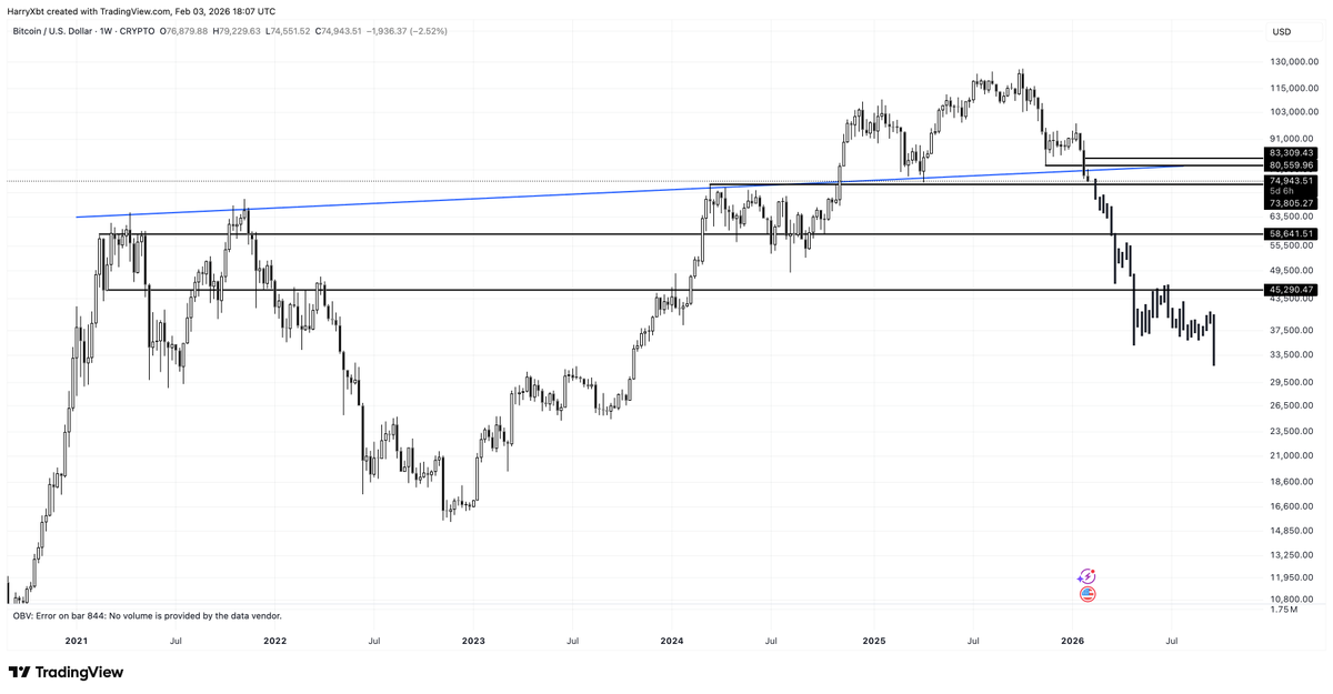 Harry 🍔 tweet media