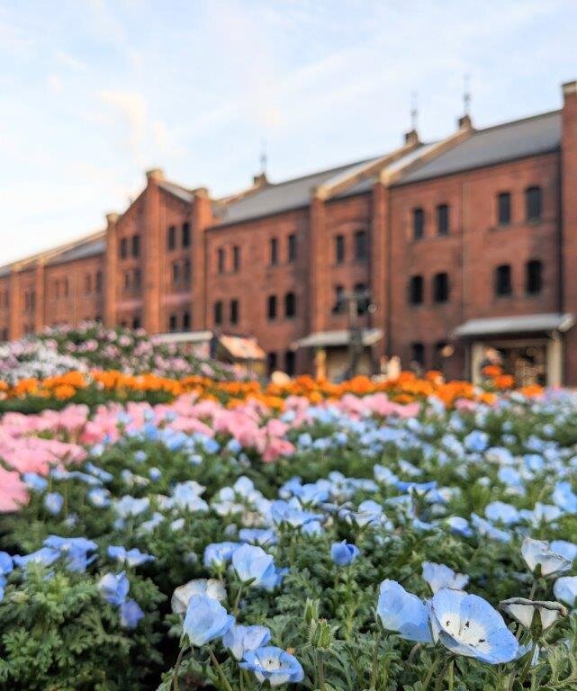 ココロに残るイベント図鑑 tweet media