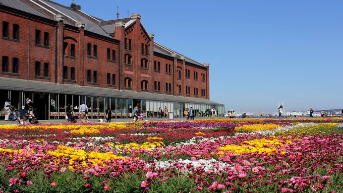 ココロに残るイベント図鑑 tweet media