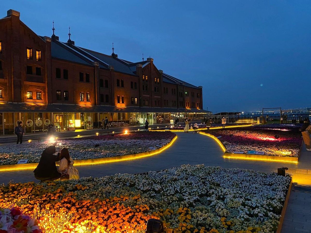 ココロに残るイベント図鑑 tweet media