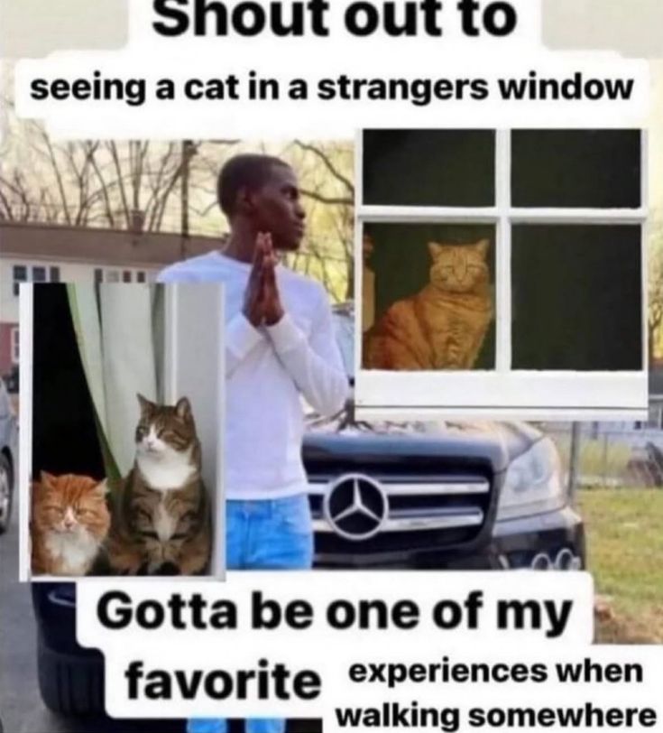 𝖘𝖙𝖆𝖗 (@starlightskyes) on Twitter photo 