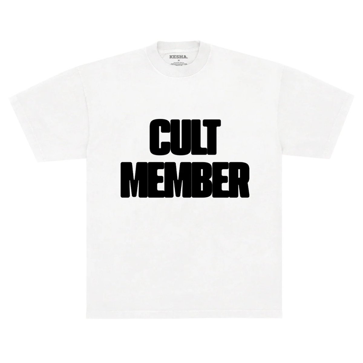 Are you in Kesha's cult?

"CULT MEMBER" tees available now
kesha.store
