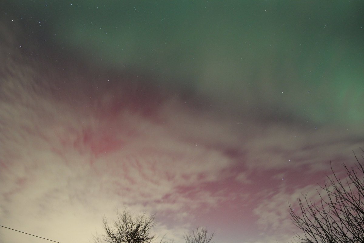 alex_astrophotographie tweet media