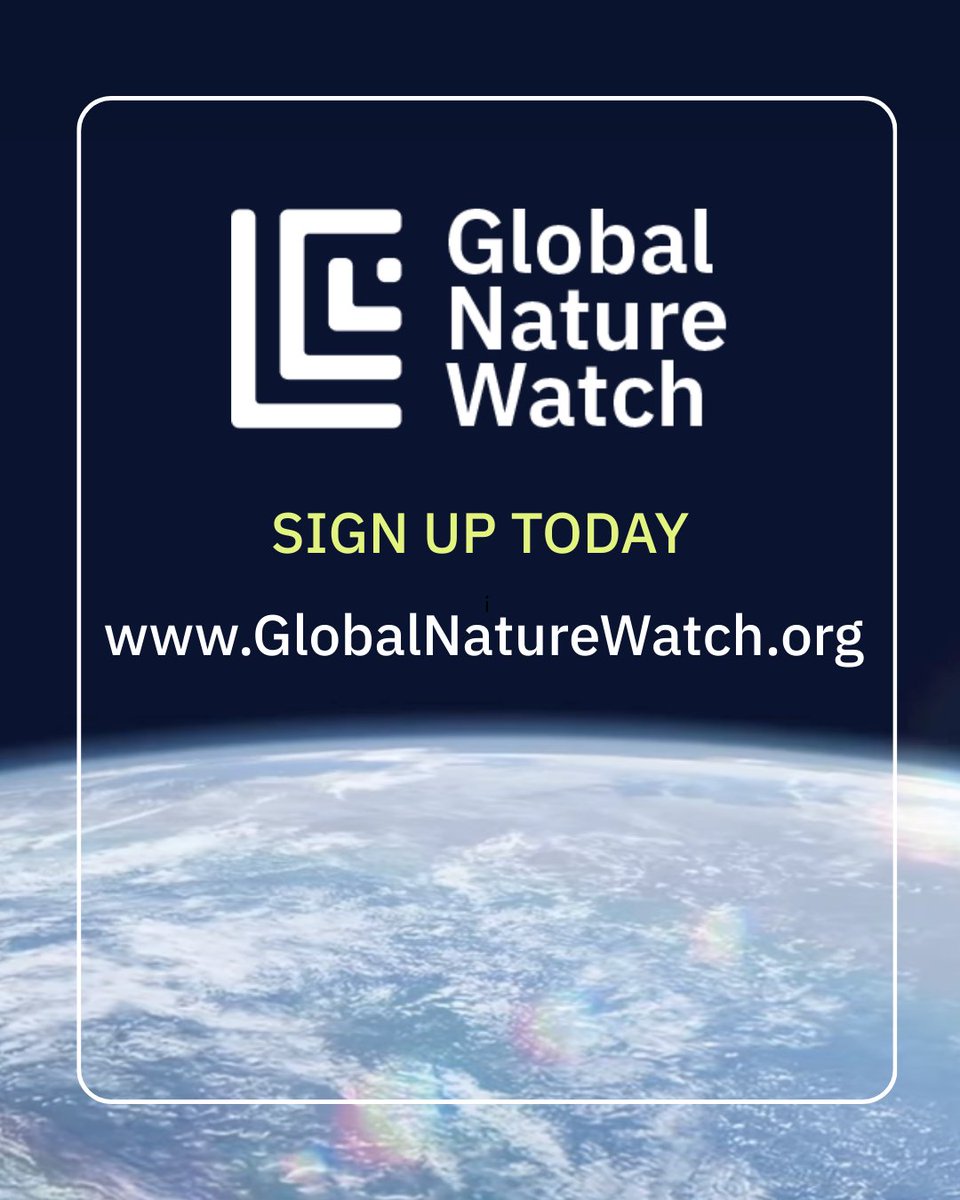 Land & Carbon Lab tweet media