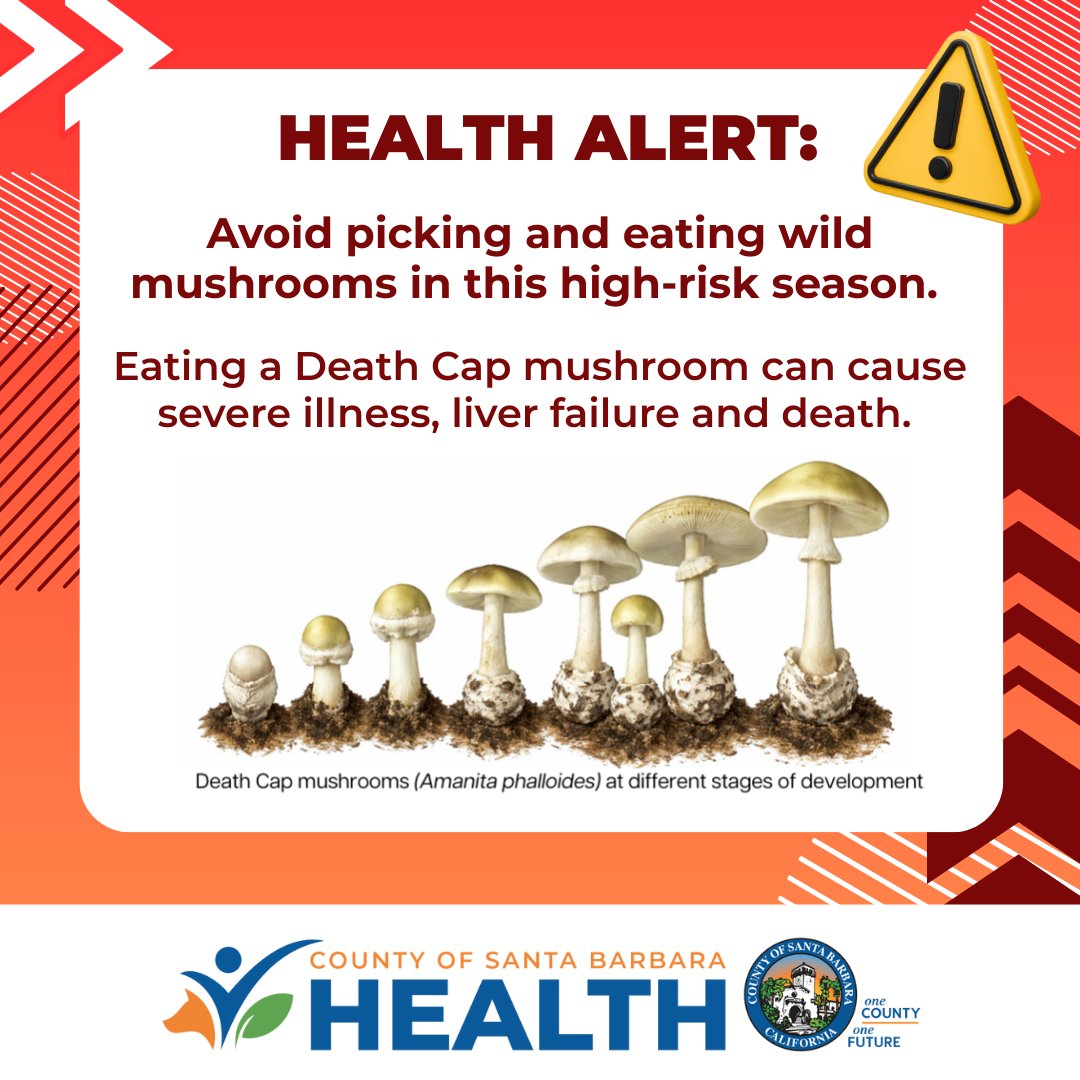 County of Santa Barbara Health Department tweet media