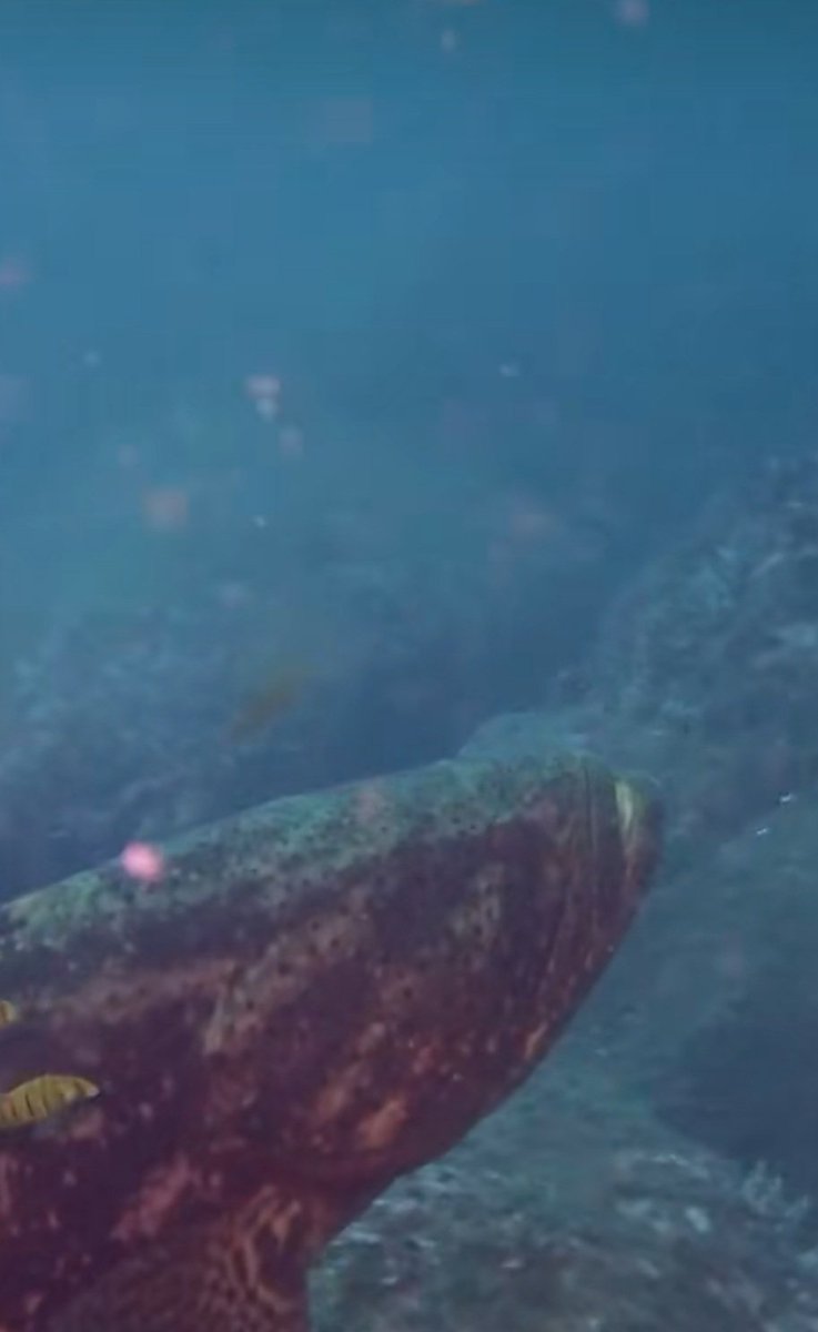 Alex Hasbun tweet media