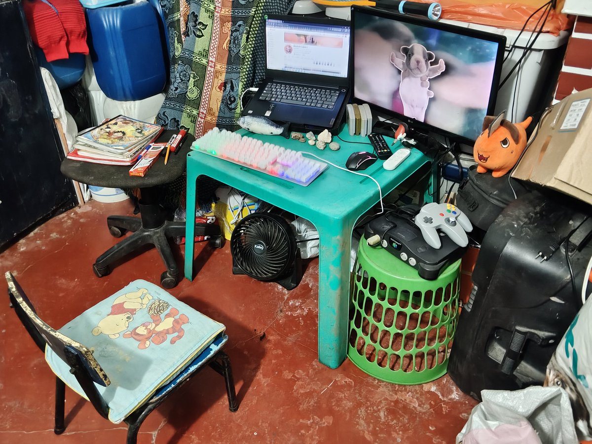 cute_n_funny_'s tweet photo. @proyekta2 Soy de Sidney, Perú. Me llamo Nicolle, estudio ingeniería electrónica y me dedico a ser una langosta en la casa de mis padres.
Mi proyektado favorito es el Dromedario López guapo.
Mi grupo músical favorito es una banda bien under no creo que la conozcan su nombre es 31 minutos. https://t.co/OaXxVq7JpU