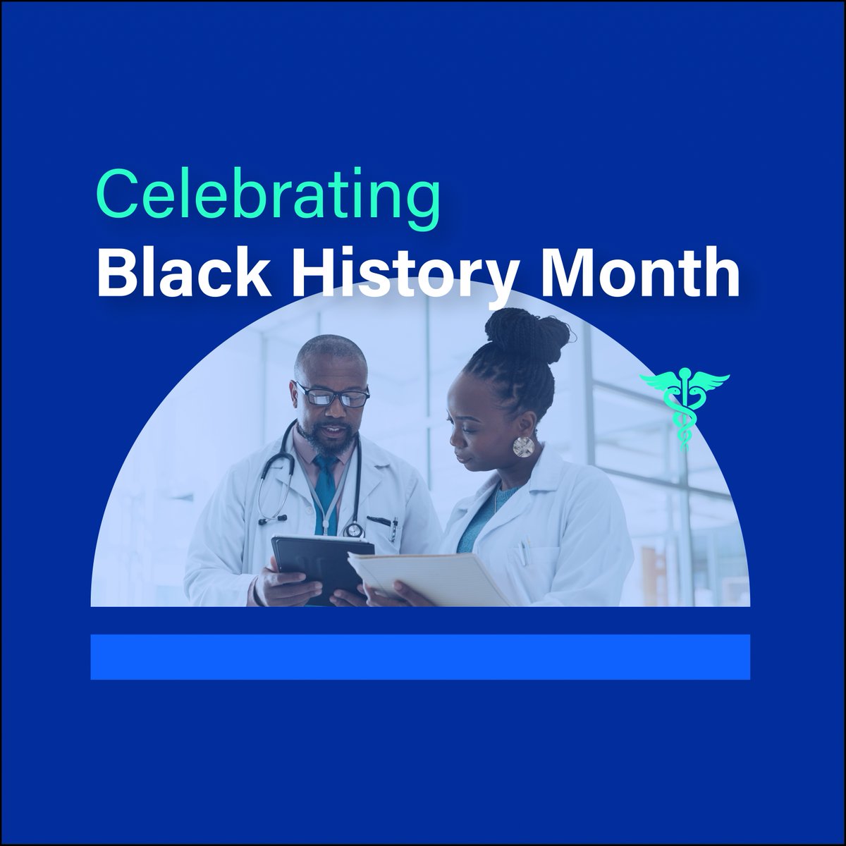 MagMutual tweet media