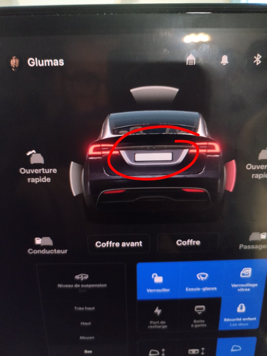 Yes, T E S L A is back 
2026.2.3
#Tesla