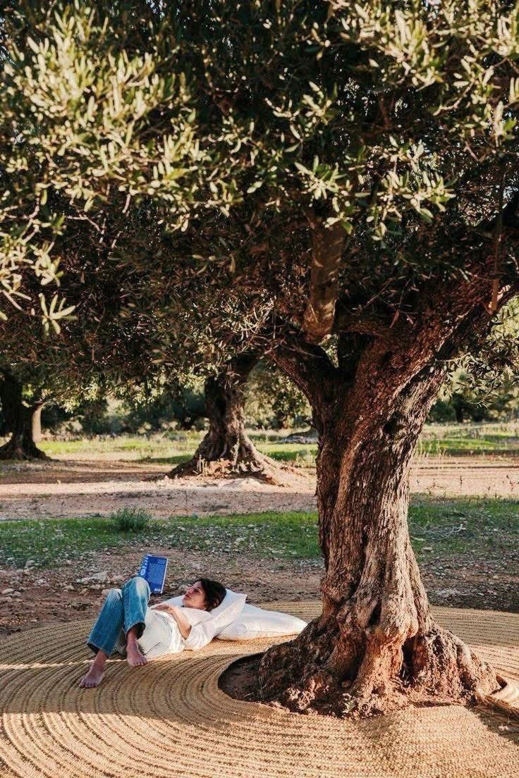 amorenloslibros's tweet image. Un lector vive mil vidas antes de morir. Aquel que nunca lee vive solo una.
📖💛