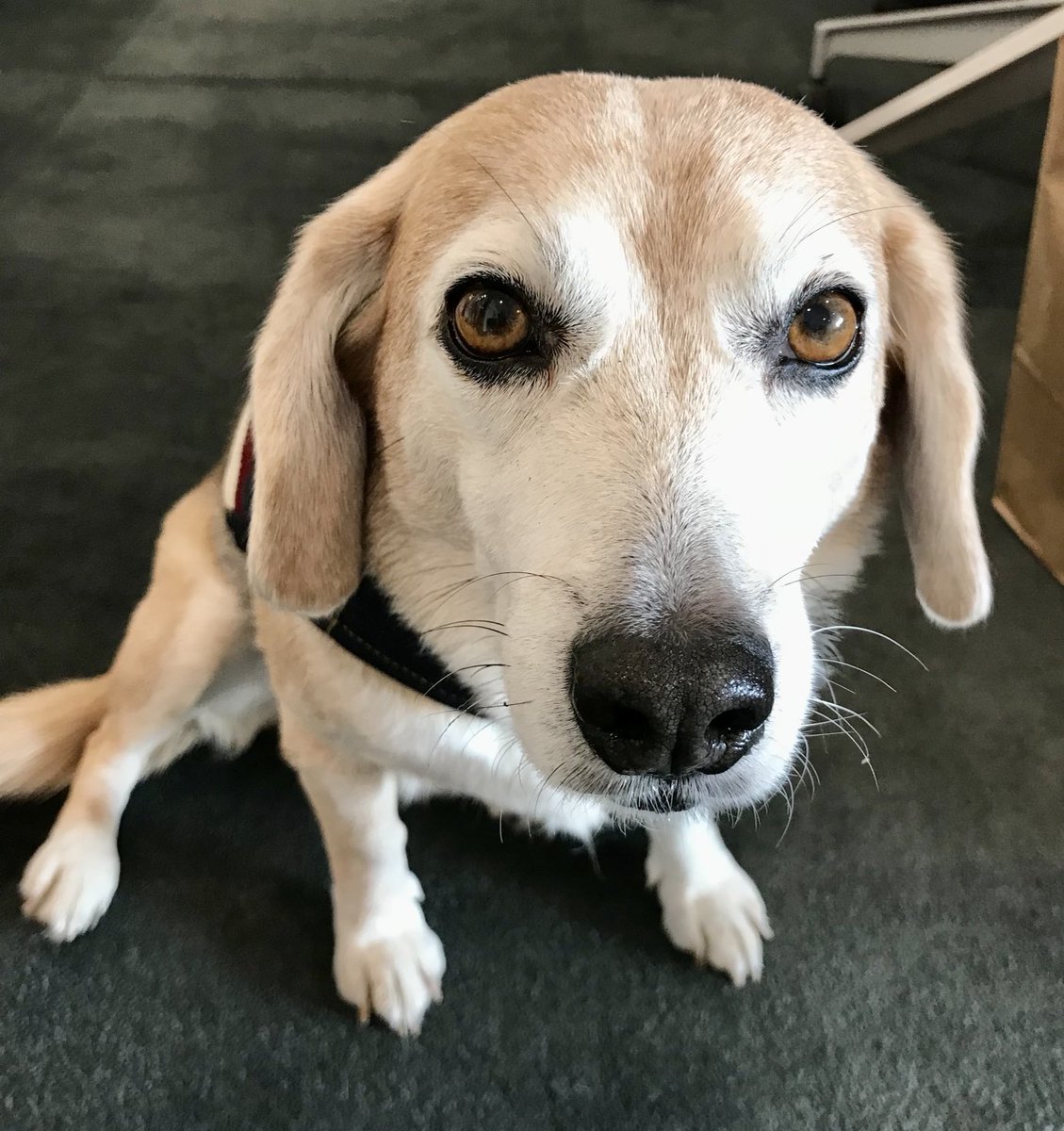 Do u like my custom jacket ?