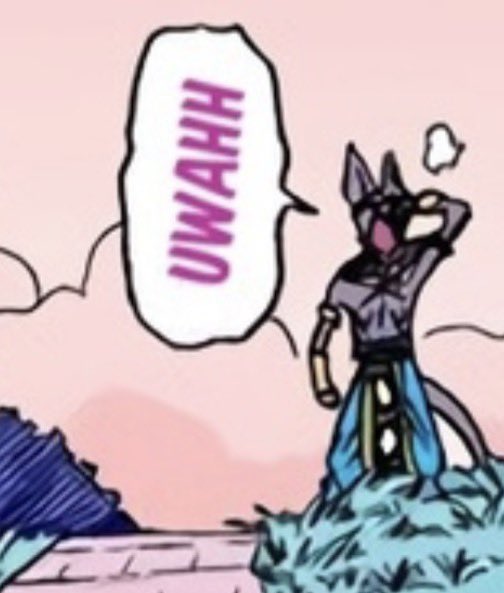 𝘽𝙀𝙀𝙍𝙐𝙎 tweet media