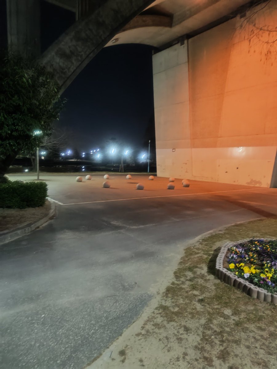 今日は、公園巡り！
寒すぎた（笑）