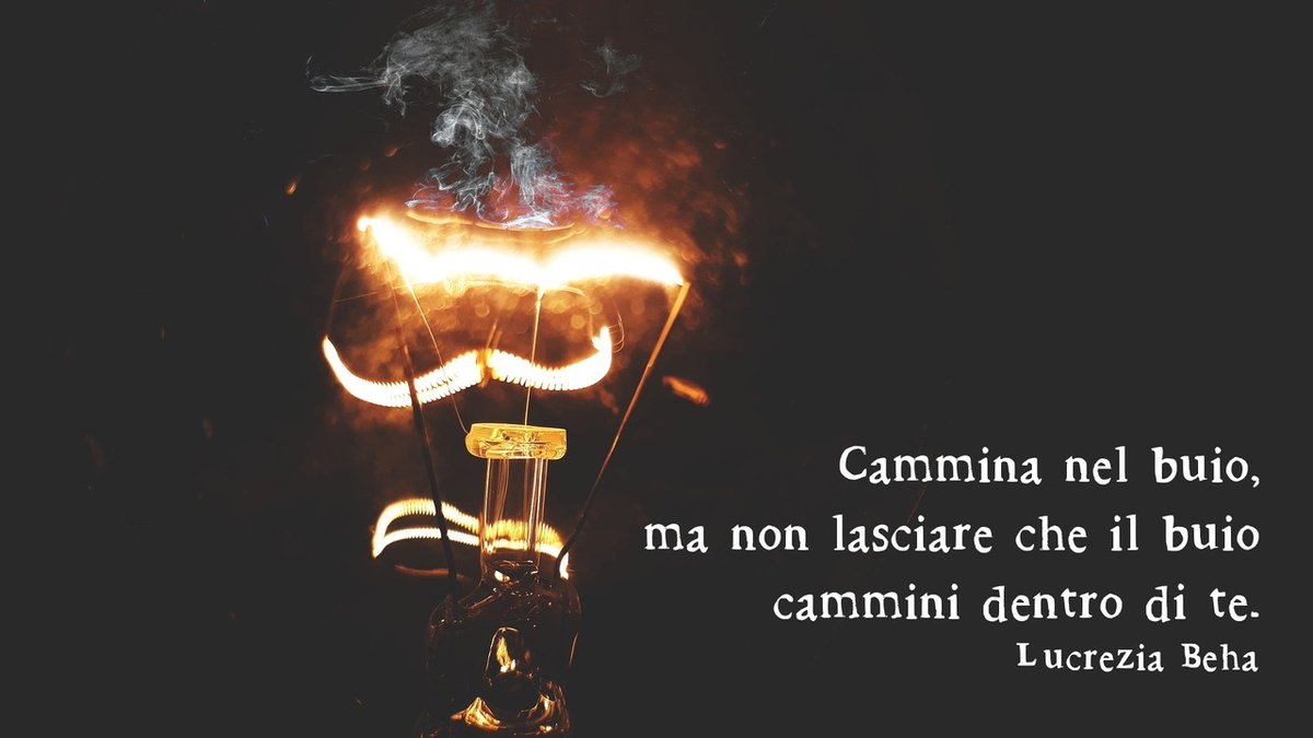 Lucrezia Beha tweet media