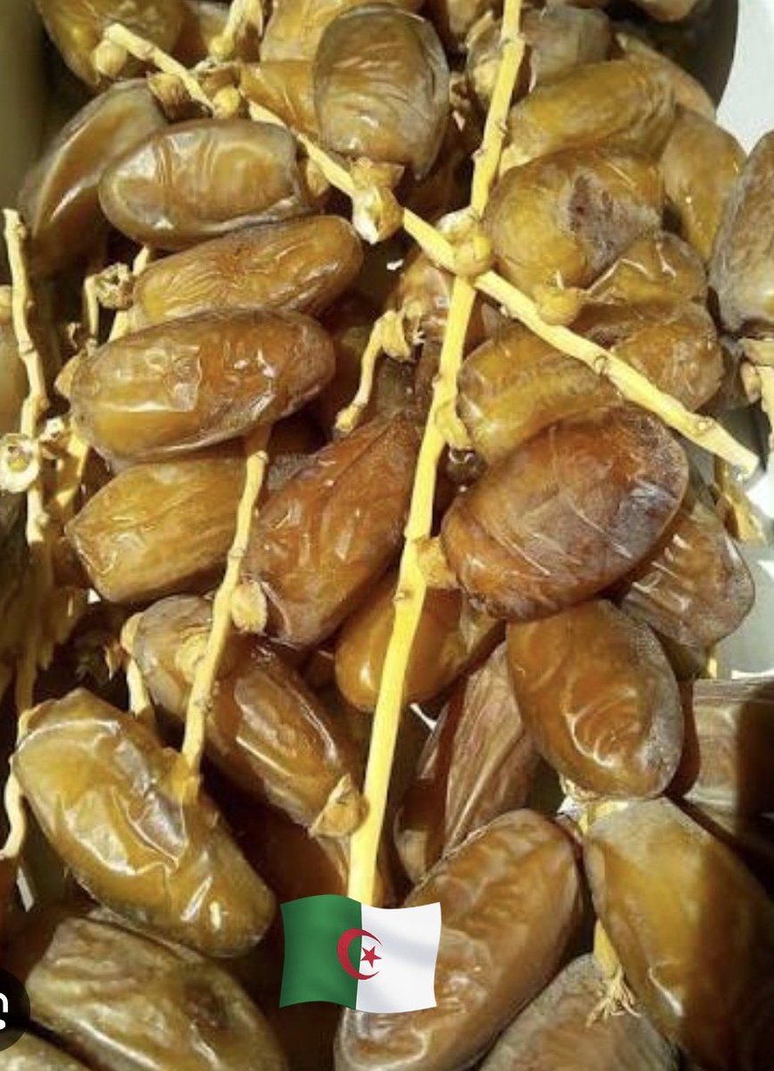 Mohamed Larbi tweet media