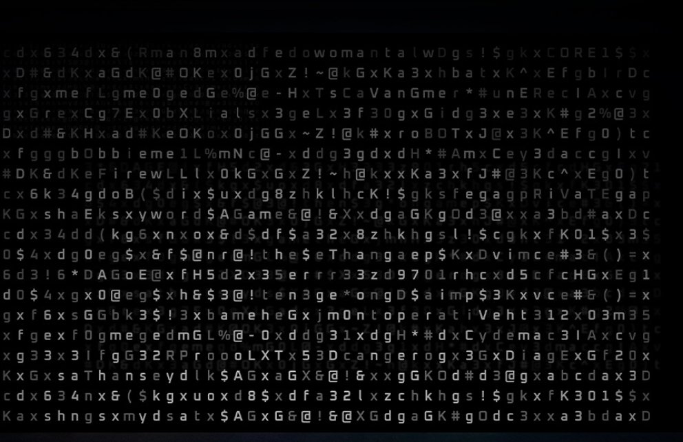 Bauzz 🎒 tweet media