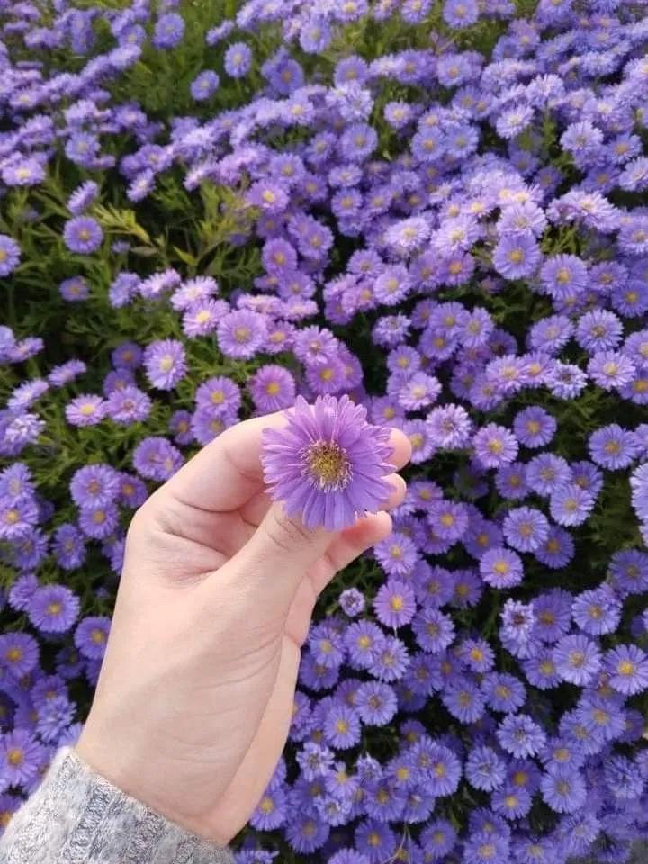 𝑀𝒶𝓇𝓎𝒶𝓂ꨄ︎ tweet media