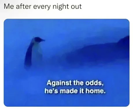 Locklyodds's tweet image. Me after every night out... Against the odds, I’ve made it home. 😅
