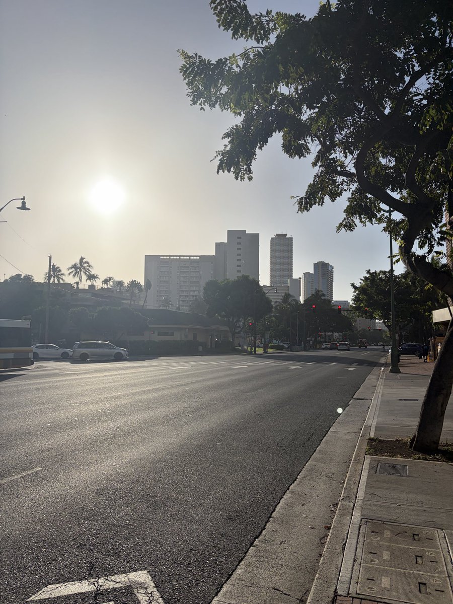 山本空良（公式） tweet media