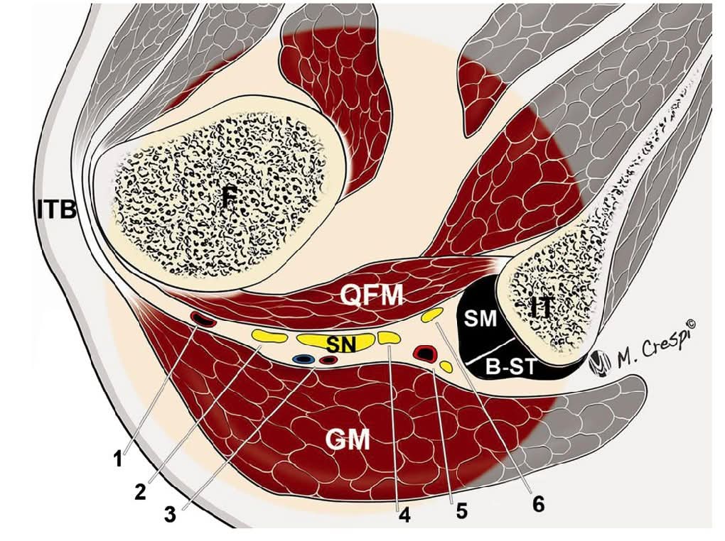 PT samir tweet media