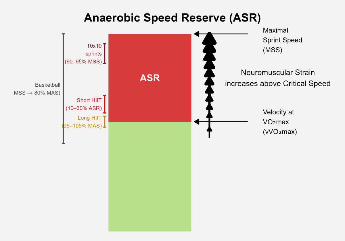 JayuLuis's tweet photo. Off-season isn’t just prep—it’s a chance to shape the ASR.
In my latest article, I cover how to develop ASR without max sprinting:
✅ Uphill sprints
✅ Tempo runs
✅ 10x10 repeat sprints
✅ Myotype-based HIIT
Link to post in thread!
#ASR #SprintWork #SportsScience https://t.co/LwSYZqQ1EB
