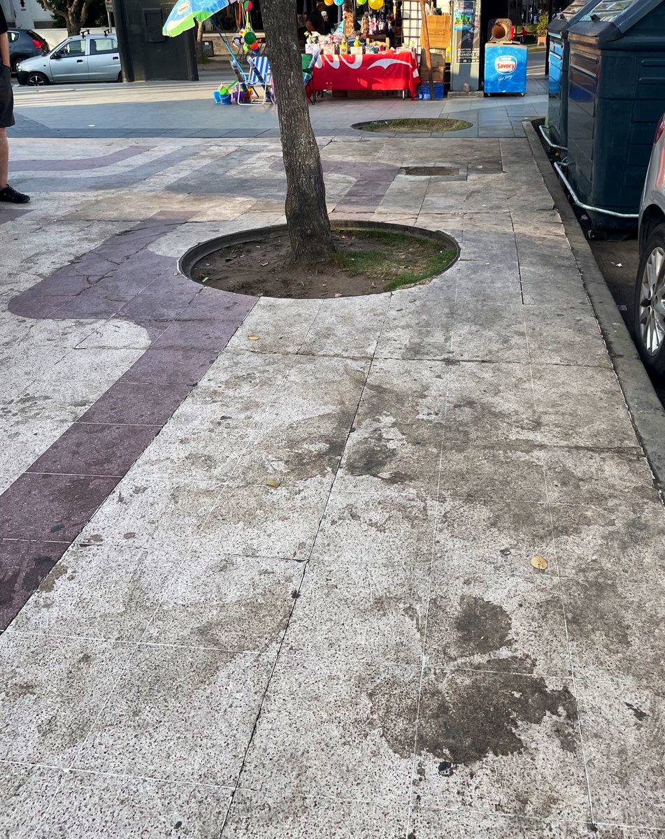 ~Carolina 🌳🦩 tweet media