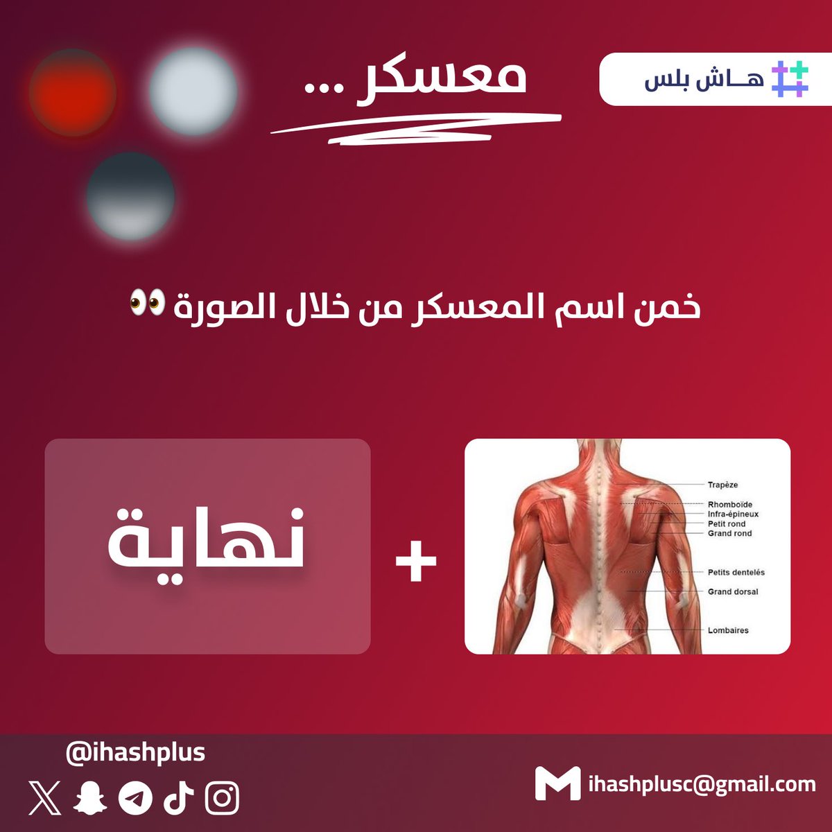 هاش بلس tweet media