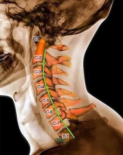 عاصم أحمد الدغيم tweet media