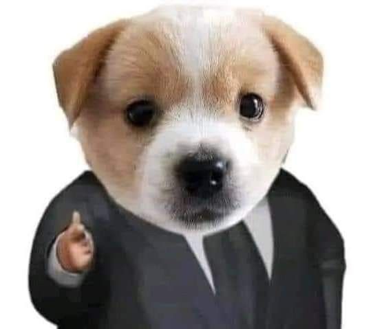 jimiinsmochi's tweet image. Me parece excelente que se meta la subtrama de Troy y Harris así como se metió la de Skip. En ese caso y tomado en cuenta los 6 capítulos lo más sensato será no darle más espacio a Skip y darle chance a otros (además su historia ya se contó)Gracias por su participación señores 😊