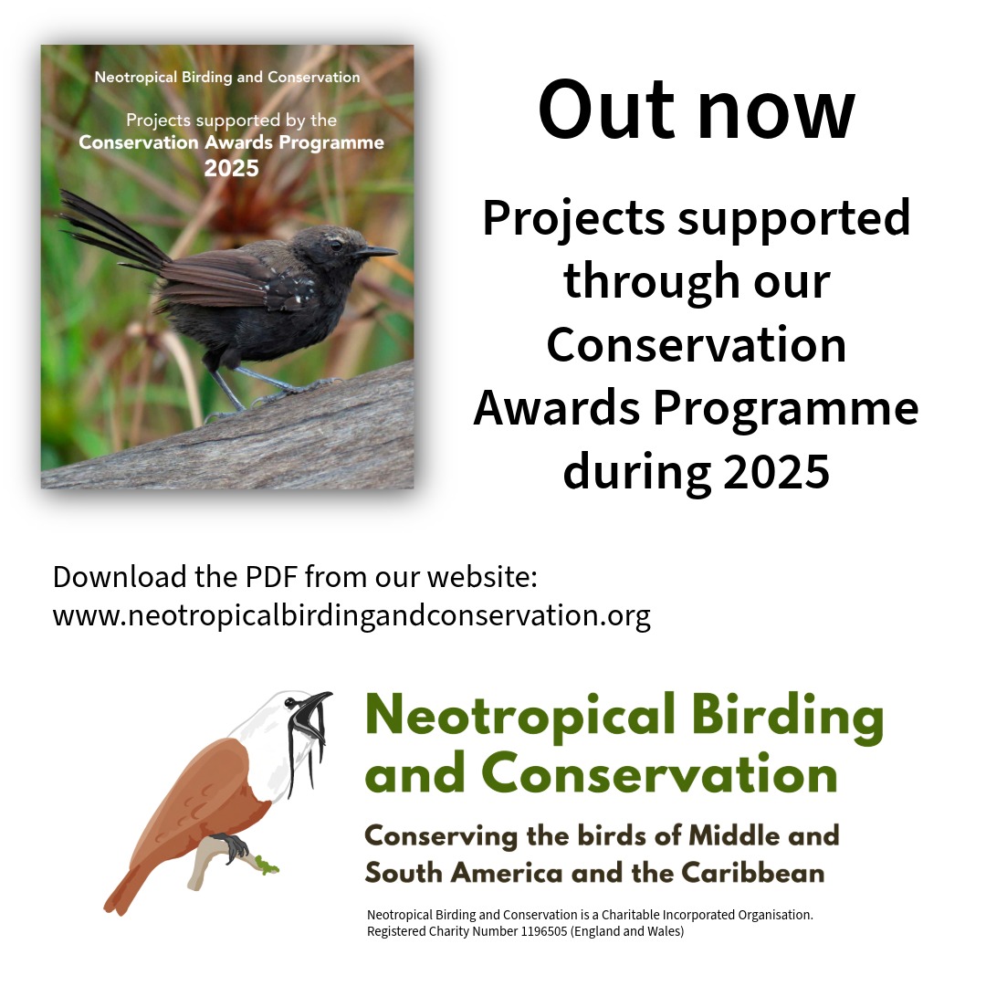 Neotropical Birding and Conservation tweet media