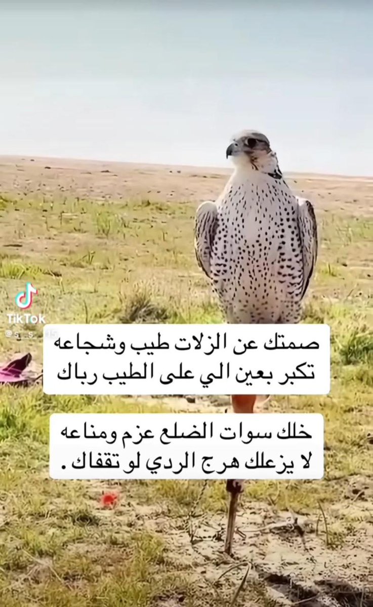 #حقيقة #راقت_لي