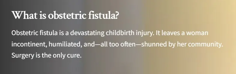 February 2026 Cassandra Unchained Charity of the Month is the Fistula Foundation. 
Fistula Foundation has provided tens of thousands of needed surgeries to women across poor, rural areas of Sub-Saharan Africa and South Asia who suffer severe incontinence and discomfort as a