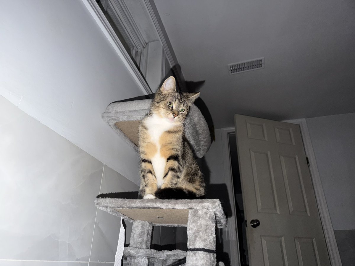 wontonlol tweet media