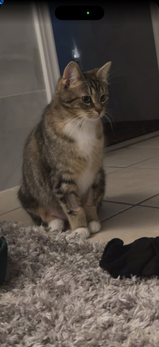 wontonlol tweet media