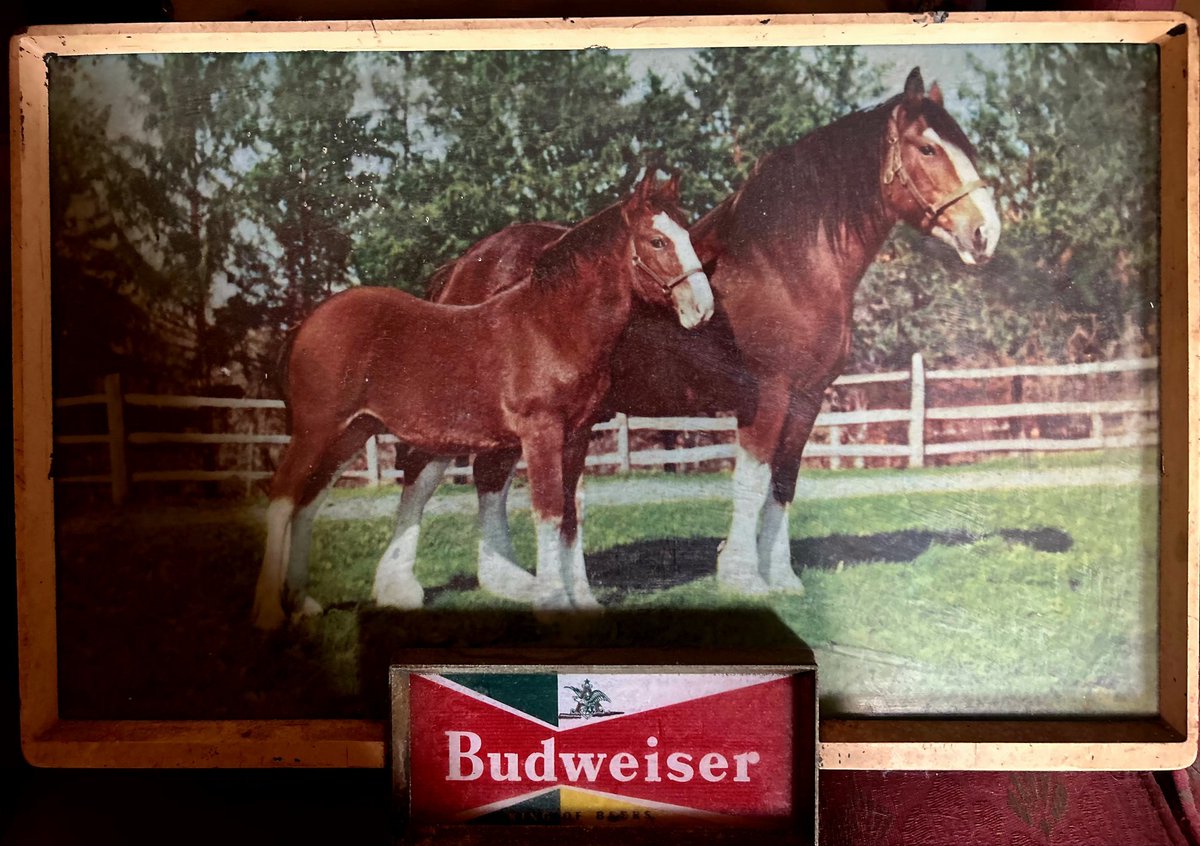 ToothyTisha's tweet photo. I would love another #Budweiser150 sign to match the one I already have!!🥰
#Sweepstakes
BTW, love the commercial this year!🥰😍 https://t.co/9iJfnMxbON