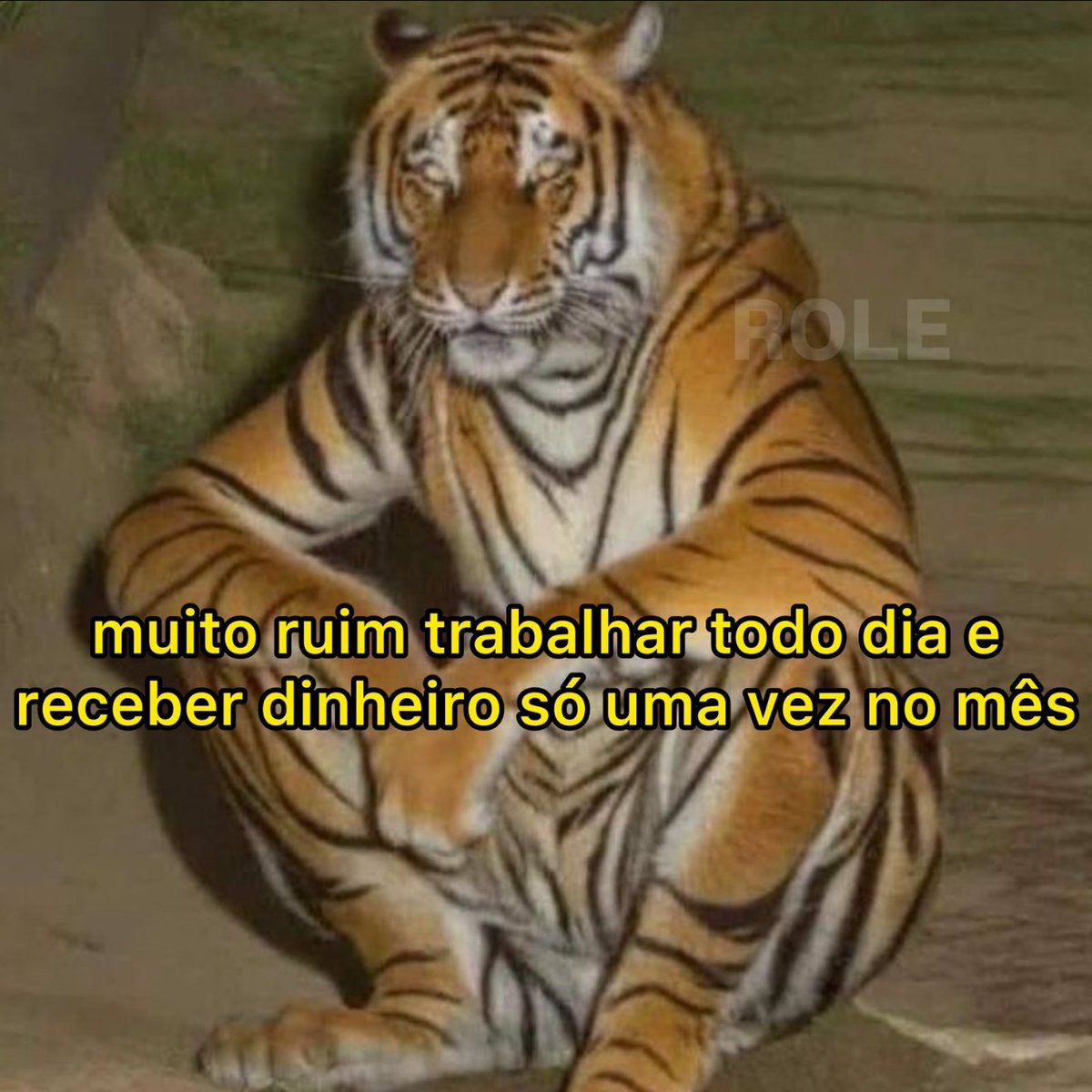 Rolê Aleatório (@rolealeatorio) on Twitter photo 