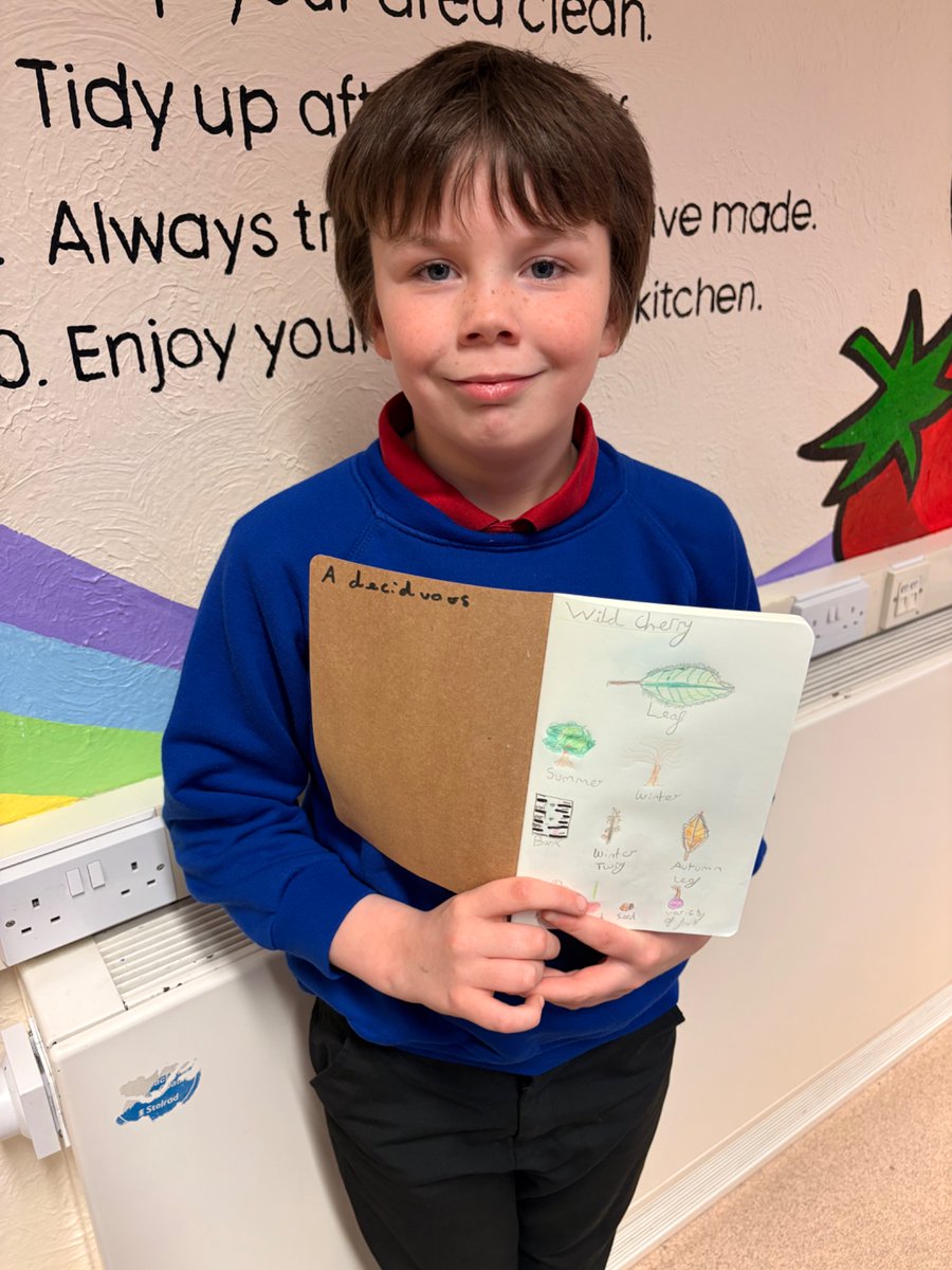 Stranton Primary School tweet media