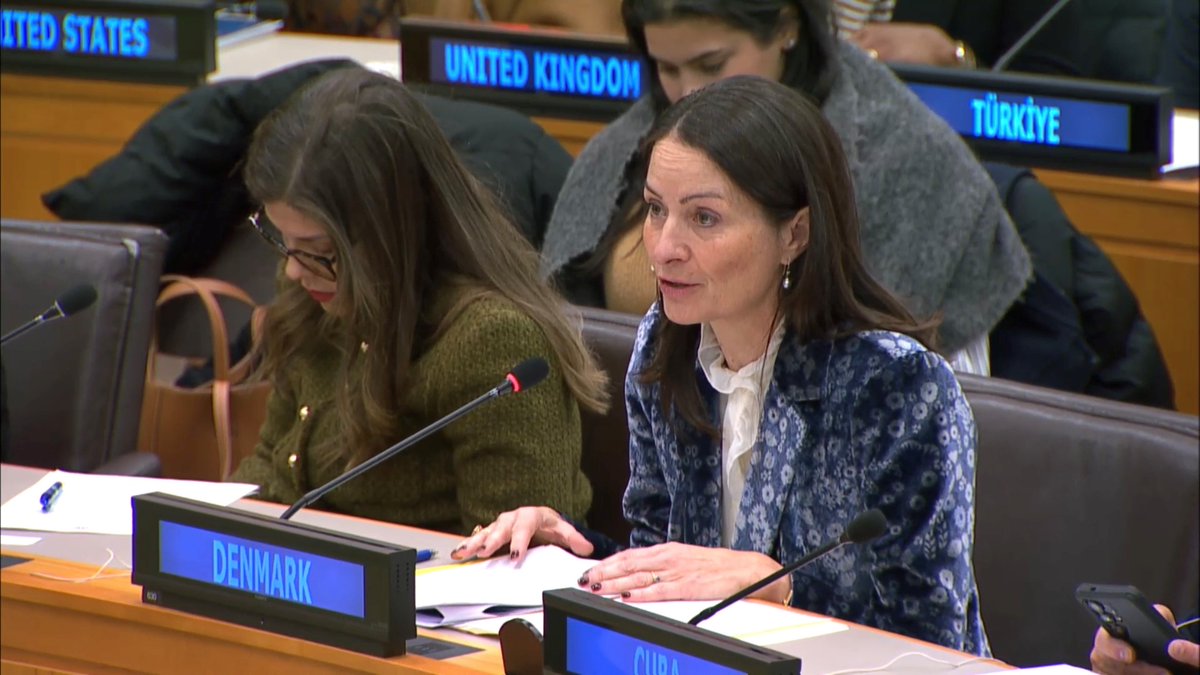 Denmark in UN NY🇩🇰 tweet media