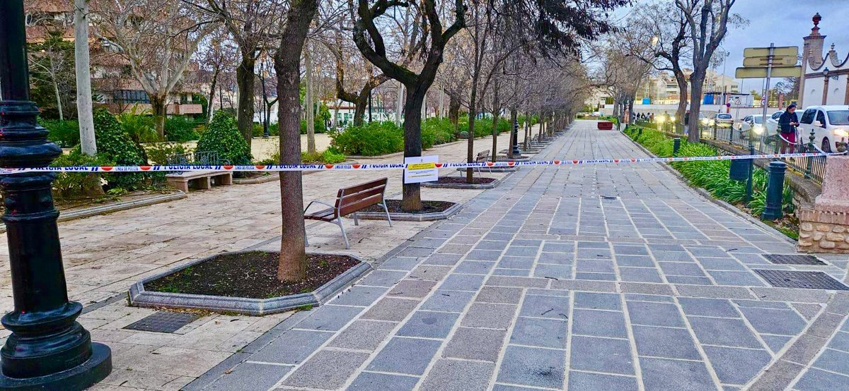 AytoAntequera's tweet photo. ❌🌳 Antequera vuelve a decretar el cierre temporal de parques y zonas verdes

Importante actuación ante la previsión de viento y lluvias

A tener en cuenta…
⛔️ Respeta las recomendaciones
⚠️ Evita riesgos innecesarios 
🛂 Consulta fuentes oficiales

#Antequera es #MásCiudad https://t.co/joeP4Zh8Au