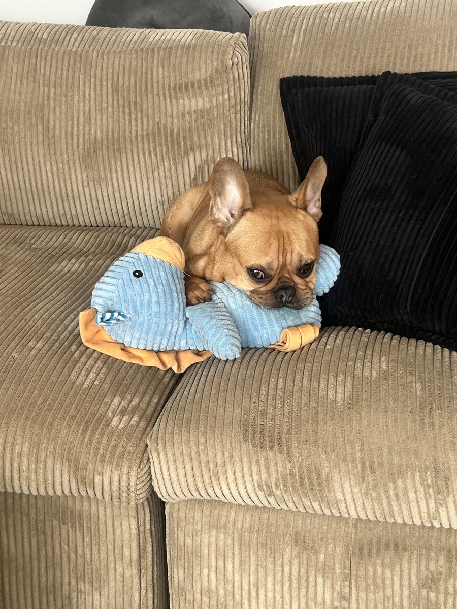 Logan and his dragon