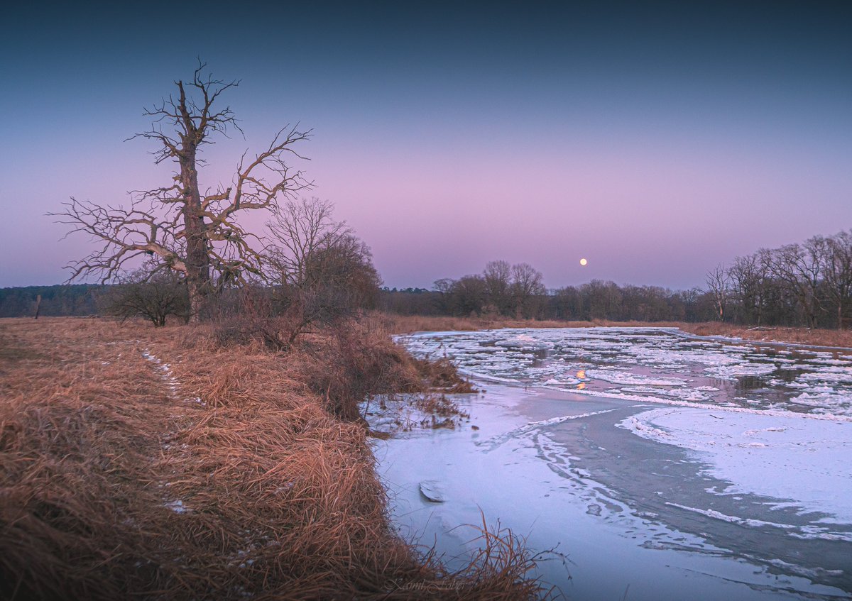 Mroźny zmierzch na Łęgach Rogalińskich, 1.02.2026 :)